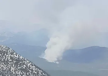 Antalya'da korkutan orman yangını! Ekipler bölgede