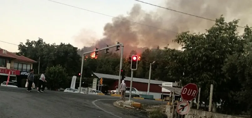 Muğla Ula'da yeni orman yangını