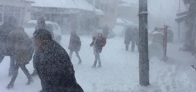 Bingöl Karlıova’da kar tatili