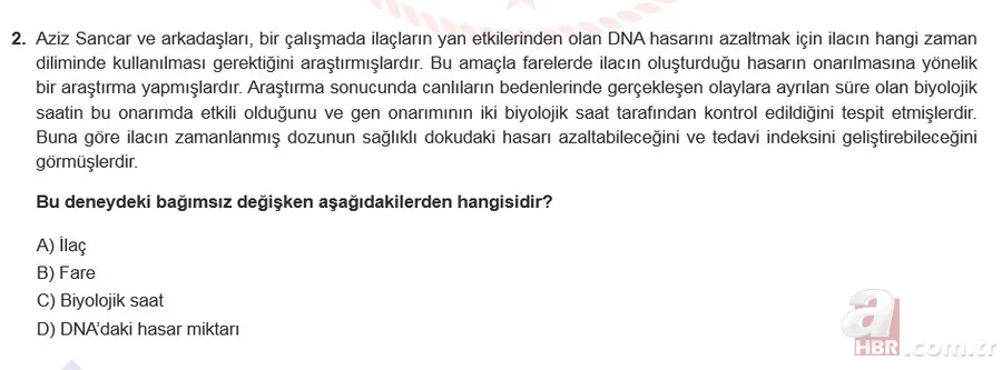 Mart ayı LGS örnek sorular listesi yayımlandı! MEB 2021 LGS sayısal - sözel örnek sorular ve cevap anahtarı 14