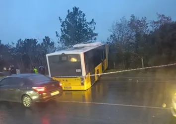 İETT otobüsü ormanlık alana uçtu