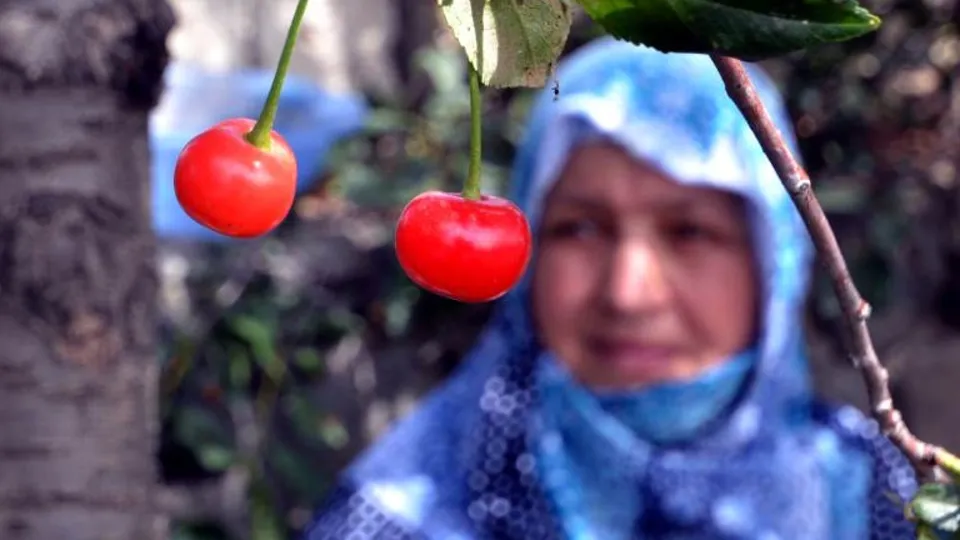 Geri kafalılara inat yaptı oldu