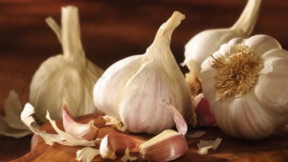 Sarımsağı yanlış tüketiyormuşuz! Tüm vitamini yok oluyor