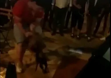 Aydın'da pitbull dehşeti