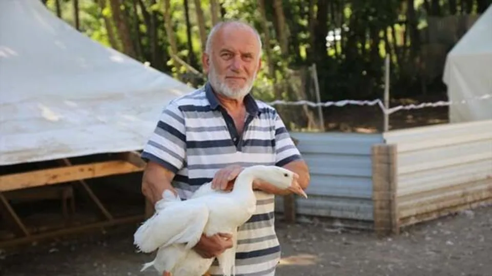 Her gün sadece yumurtadan 1500 TL kazanıyor