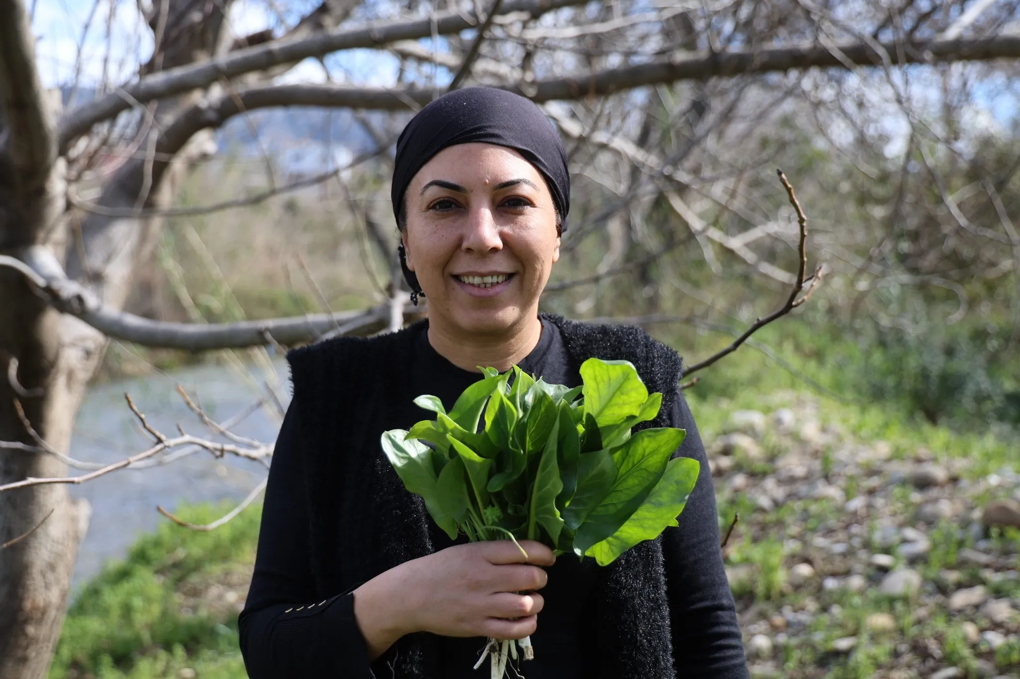 Yılda sadece iki ay toplanıyor! Zehirden şifaya mucizevi dönüşüm