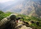 Pençe-Kilit bölgesinde PKK’ya darbe