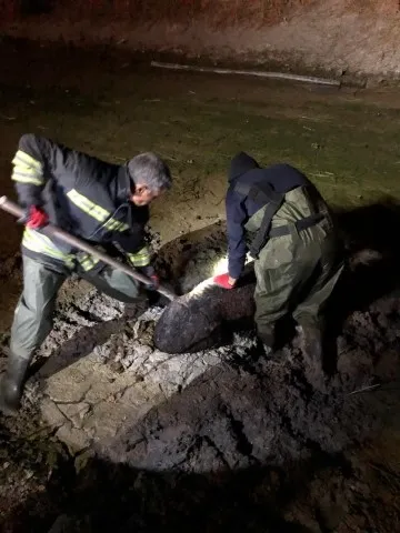 Konya'da çamura saplanan eşeği itfaiye kurtardı