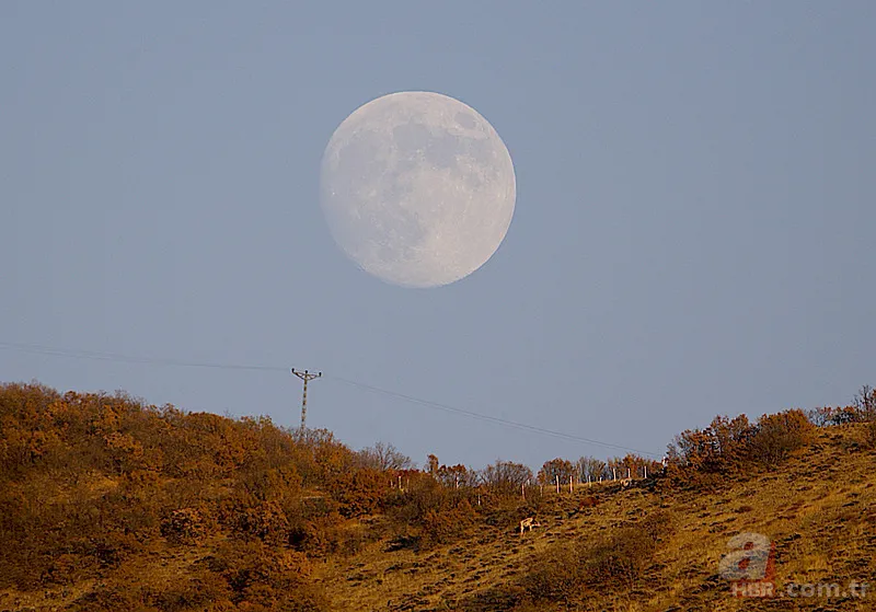 Aralık ayı dolunayı ne zaman, hangi gün, saat kaçta? Dolunay nedir? 2
