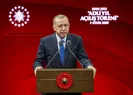 Başkan Erdoğandan önemli açıklamalar