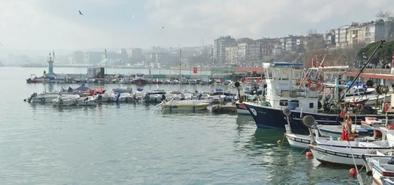 Marmara Denizi'nde 'kaykay' alarmı