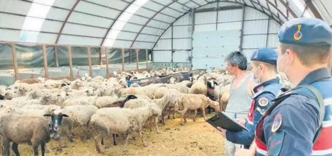 Koyun hırsızından İYİ Partili Belediye Başkanı Ünal Çetin’e rüşvet! Çetin’in marifetleri ’pes’ dedirtti | Koyun hırsızına imar kıyağı