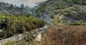 Antalya’daki orman yangını kontrol altına alındı