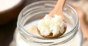 Yiyen 100 yaşını görüyor! Kalsiyum deposu mucize besin...