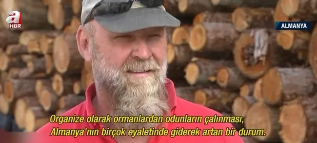 Almanya’da odun hırsızlığı! Çalınmaması için odunlara GPS takıldı