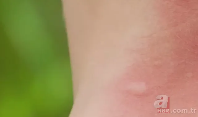 Kurban etinden Adana kebap tarifi! Ustası A Haber’e anlattı, işte o tarif 69