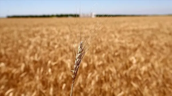 1674318342336.jpg Ukraynalı bakandan Türkiye'ye övgü: Bizim için çok şey yapıyorlar ve bunları her gün hissediyoruz - 2
