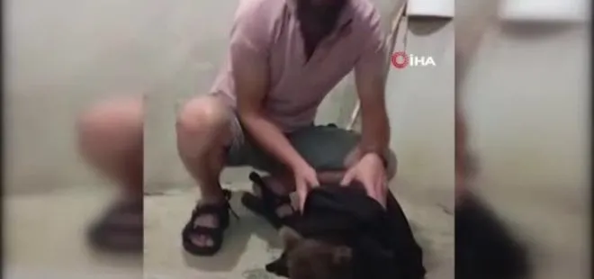 Gece yarısı kapısına gelen yavru ayıyı aç göndermedi