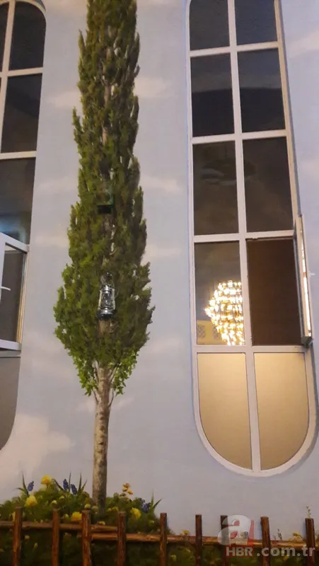 Bakara Suresi'nden esinlenerek yapıldı! Dünyanın en ünlü camilerinden oldu 14