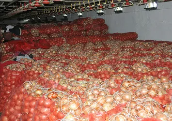 Soğan fiyatları düşecek mi?