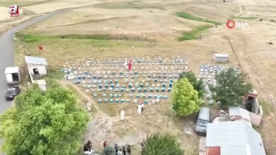 Kadınlar bal üretimine yöneliyor