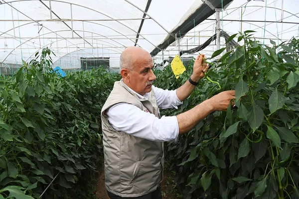 1661282592013.jpg Milyonlara sosyal güvence müjdesi! Yeni dönem yolda! Bakan resmen duyurdu: Ciddi bir çalışma içindeyiz - 1
