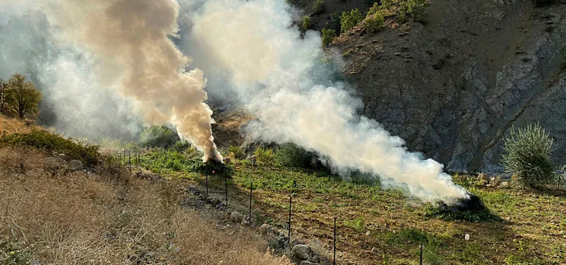 Diyarbakır'daki operasyon sonrası ateşe verildi: 1 ton 530 kilogram esrar ve 2 milyon 850 kök skunk...