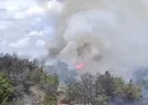 Adanada orman yangını