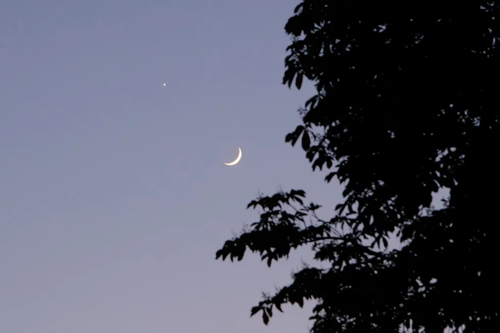 (Fotoğraf - İHA)