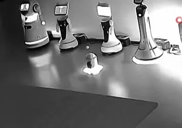 Çin’de küçük bir robot 12 robotu kaçırdı