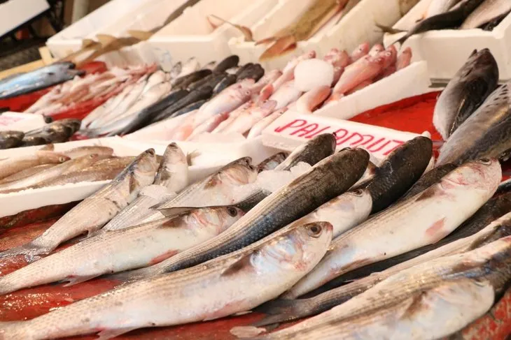 ’Türk balığı dünyada aranan balık haline geldi’