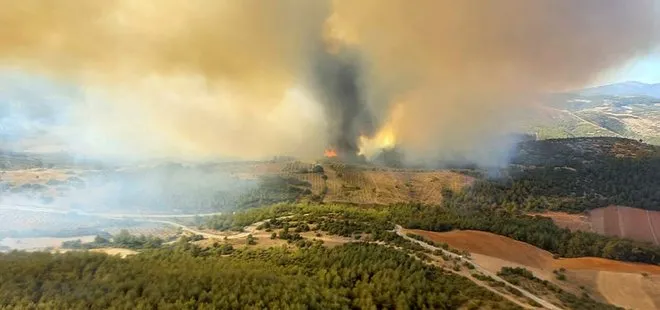 Son dakika: Manisa’da orman yangını