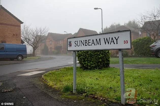 Sahiplendiği çoban köpeği sonu oldu! Parkta bitkin haldeyken bulmuştu her yerini parçalayarak öldürdü 3