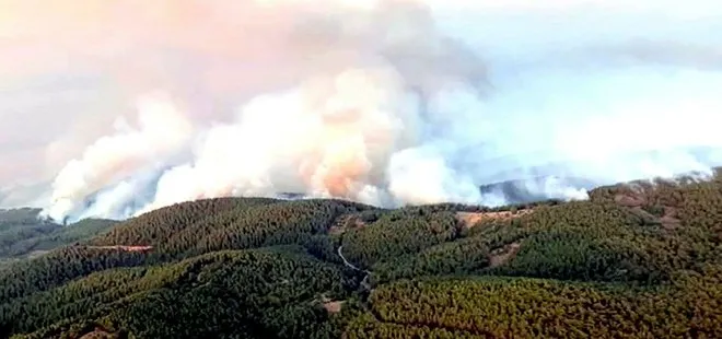 Muğla Köyceğiz’de yangın söndürme helikopteri düştü iddiasına yönelik açıklama