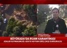 Son dakika: Büyükadada ruam karantinası! 81 at itlaf edildi giriş-çıkışlar durduruldu|Video