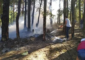 Son dakika: Bolu'da orman yangını!
