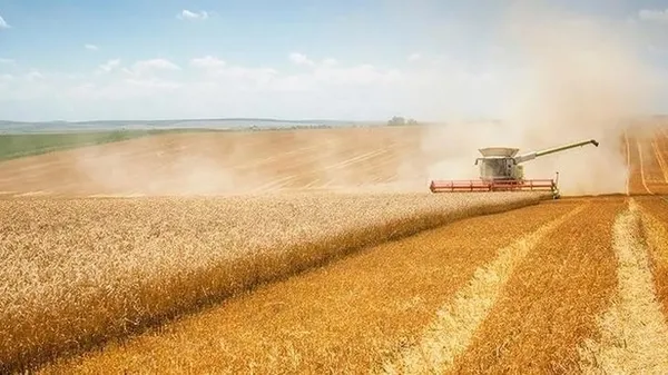 ÇİFTÇİLERE MÜJDE! Tarımsal destek ödemeleri yattı mı, ne zaman yatacak?