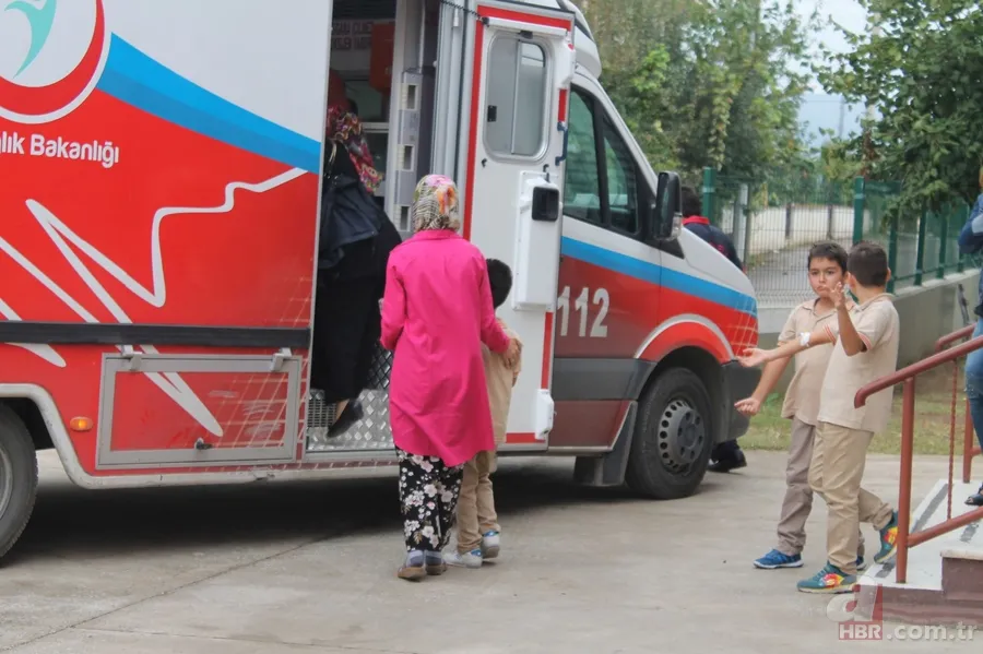 Okul bahçesinde yuva yapan arılar öğrencilere saldırdı 7