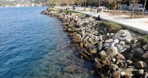 Beykoz’da denizden korkutan görüntü