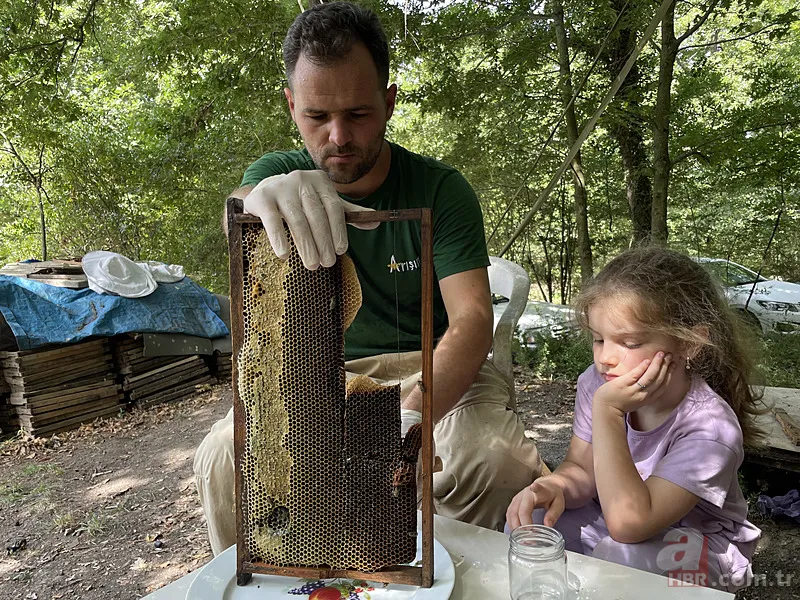 Kovandan çıkan bal görenleri şaşkına çevirdi! Kilosu 20 bin TL... 2