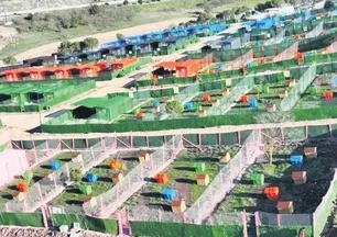 CHP’li Balıkesir Belediyesi’nden skandal uygulama! Konteynerleri hayvan barınağı yaptılar