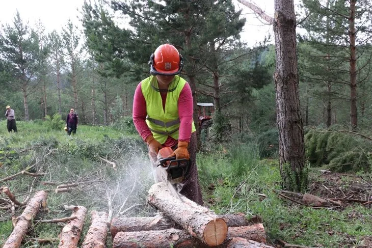 Orman Genel Müdürlüğü mevsimlik işçi alımı 2022 | Bakanlık duyurdu! Karar Resmi Gazete’de! İş arayanlara güzel haber