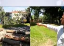 Emirgan Korusu’nda ağaç katliamı