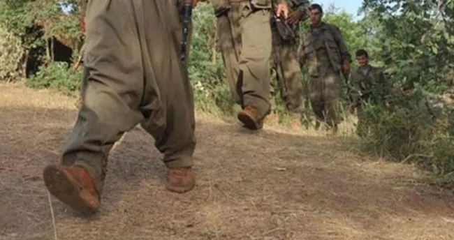 PKK’lı teröristin kardeşinden şok itiraf: PKK’nın haber spikerliğini teklif ettiler