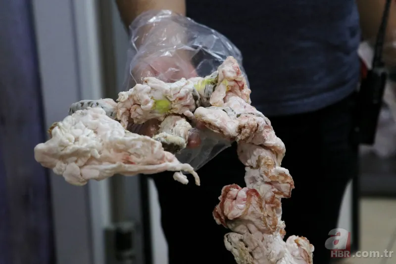 Adana'da mide bulandıran olay! Bunları bize yedireceklerdi: Yüzlerce kilo... 2