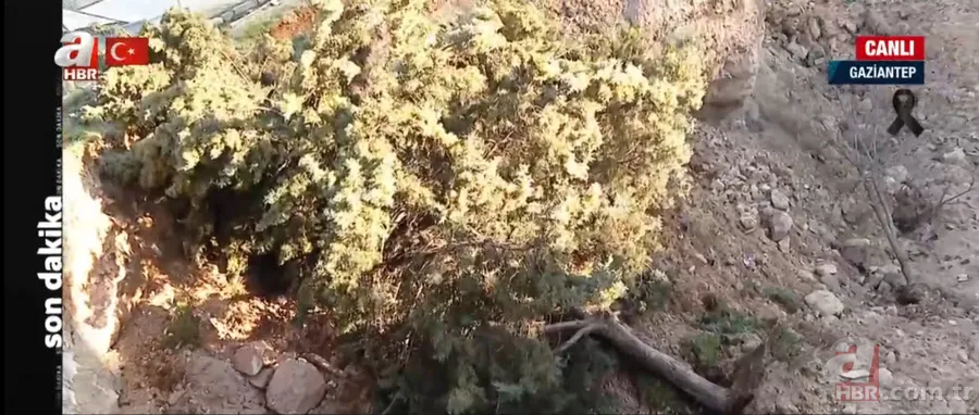 Mahallenin tam ortasında DEV ÇUKUR ve iki MAĞARA oluştu! İşte DEPREMİN dehşete düşüren ETKİSİ 8