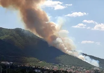 Denizli'deki ormanlık alanda çıkan yangın kontrol altına alındı