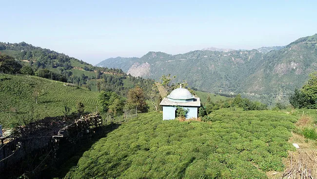 Rize’de 86 yaşındaki İsmail dede ölmeden kendine türbe gibi mezar yaptırdı - 1