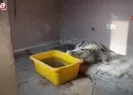 Egzotık hayvan kaçakçılığına büyük darbe!