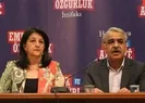 HDPnin bildirgesinde dikkat çeken maddeler